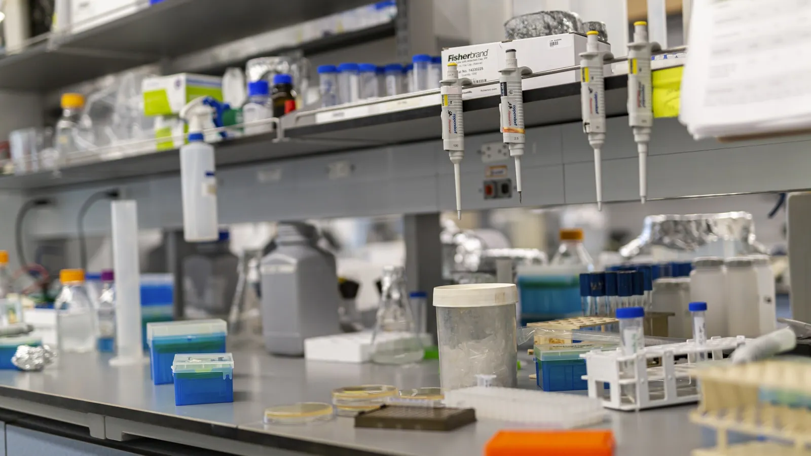 Mycoplasma genitalium: de soa die een standaardtest niet meet