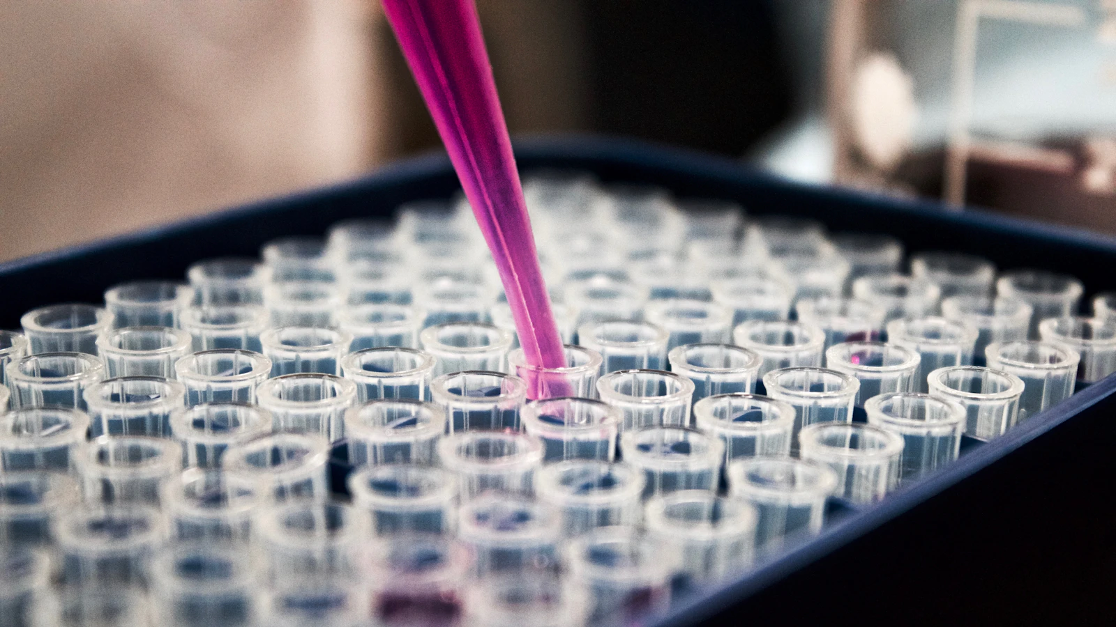 Tubes filled with liquid in a laboratory.